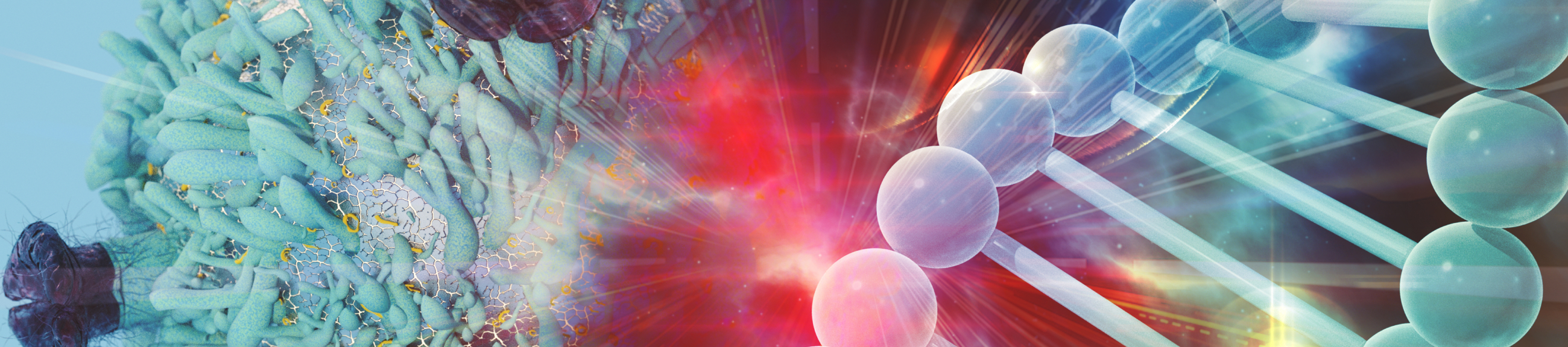 Ανοσοθεραπεία