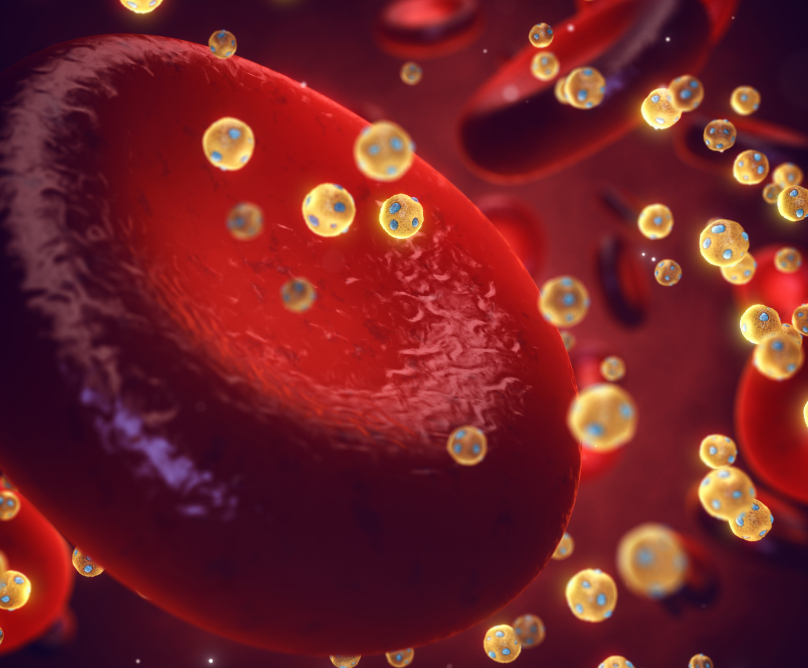 Ιατρείο Λιπιδίων Metropolitan Hospital