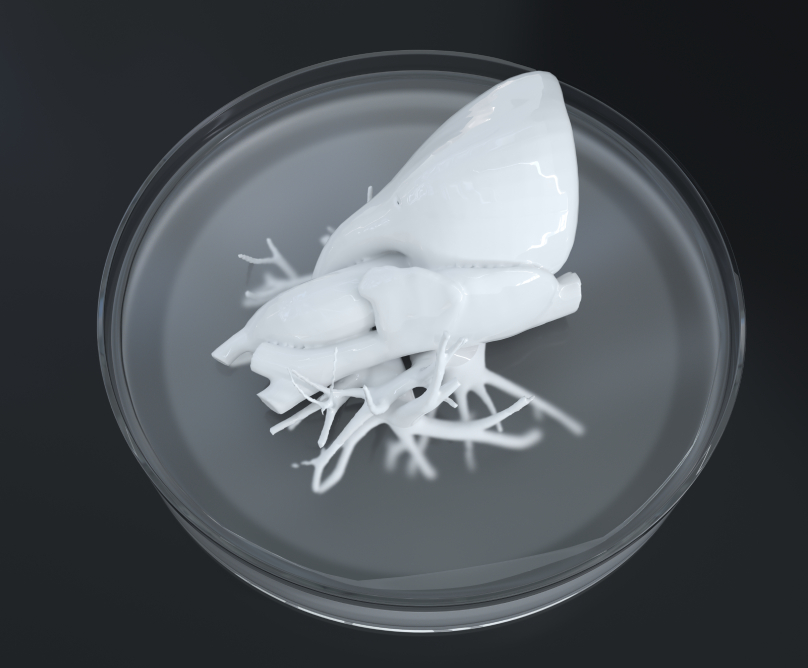 3D βιοεκτυπώσεις ανθρωπίνων ιστών & οργάνων: από τη σφαίρα της φαντασίας στη σφαίρα της πραγματικότητας