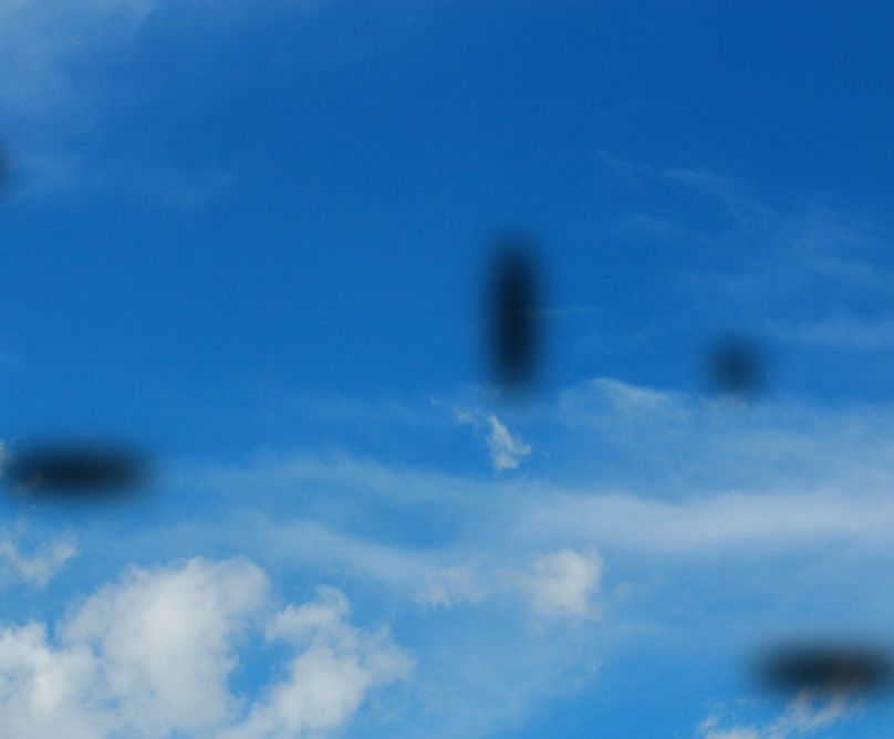 Μυγάκια και λάμψεις