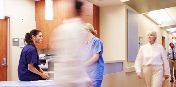 Instructions for visitors