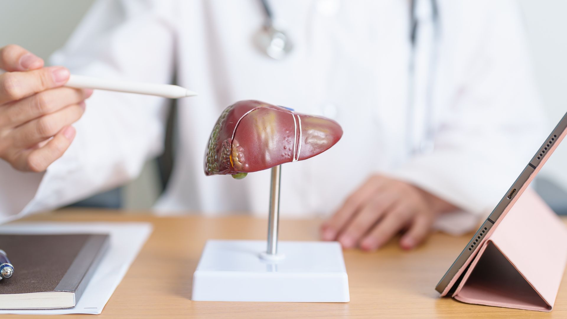 Ήπαρ - Χοληφόρα 