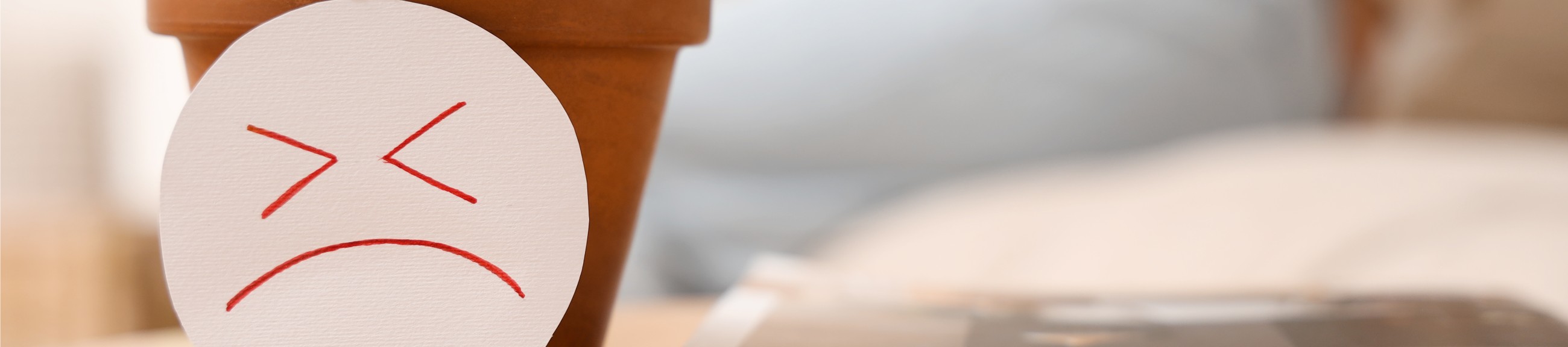 Αιμορροΐδες: Το μικρό πρόβλημα που γίνεται μεγάλο και ταλαιπωρεί χιλιάδες ανθρώπους