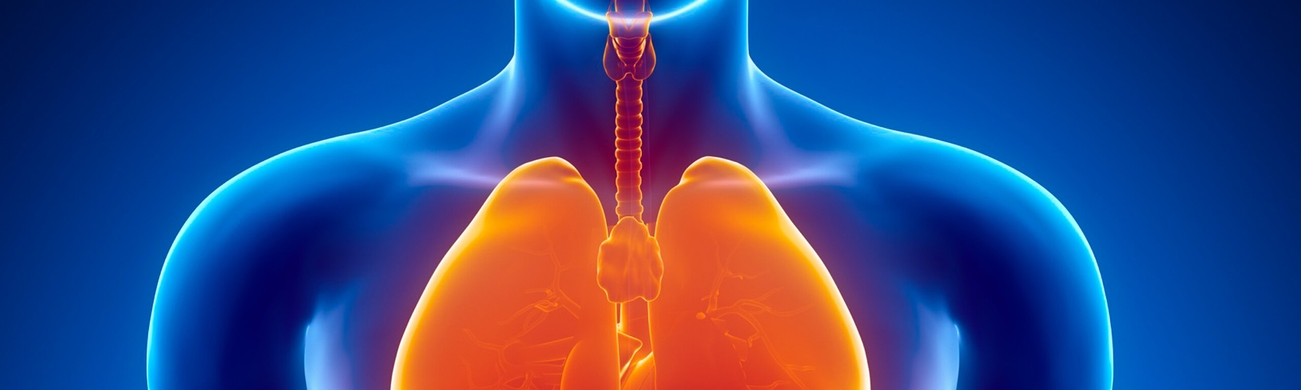 Ενδοκρινολογία