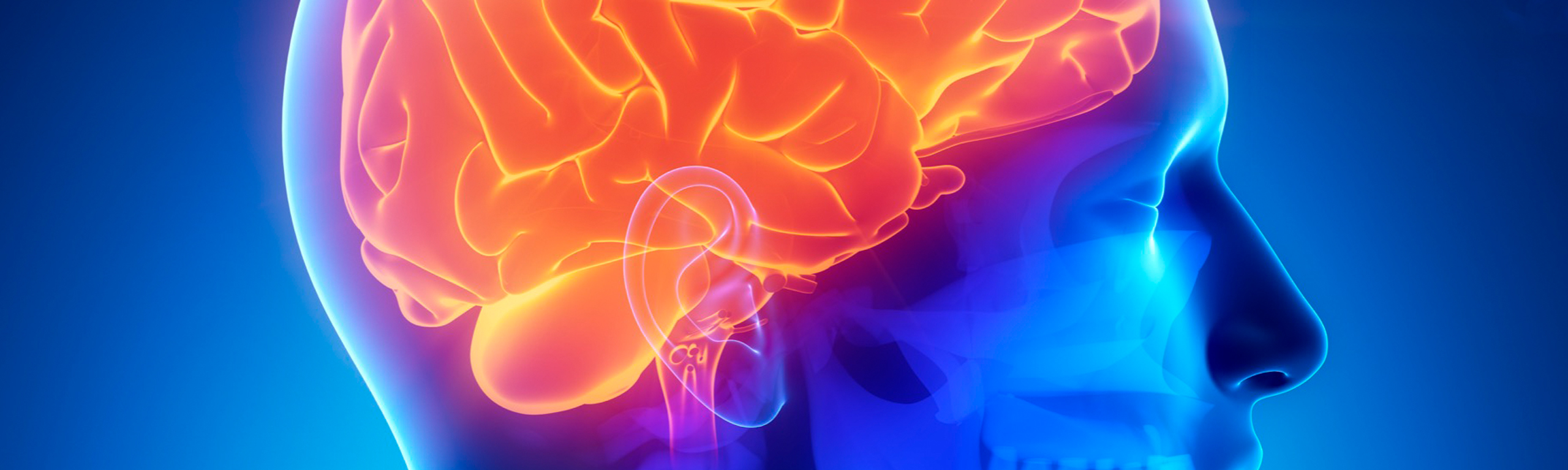 Επεμβατική Νευροακτινολογία