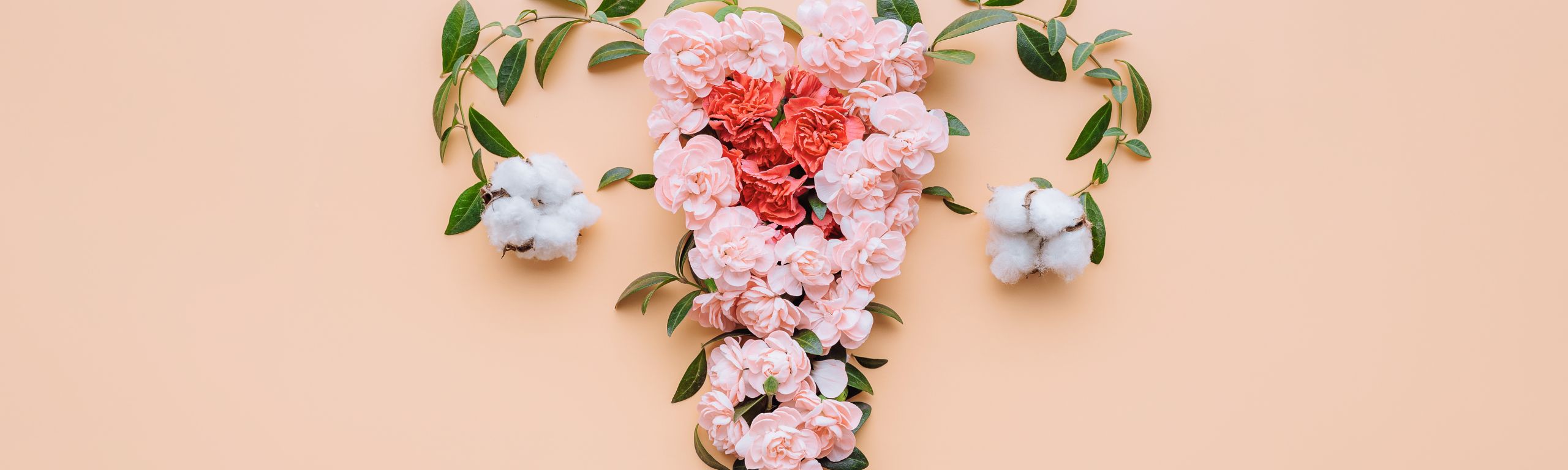 Γυναικεία Πύελος - Γυναικολογικός Καρκίνος