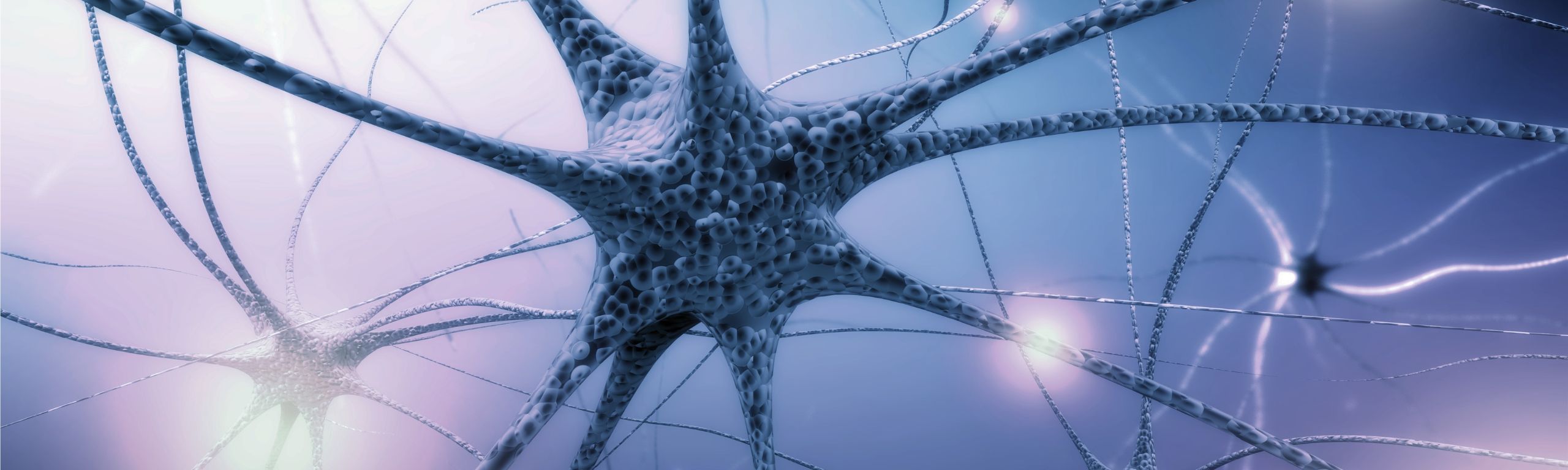 Κεντρικό Νευρικό Σύστημα